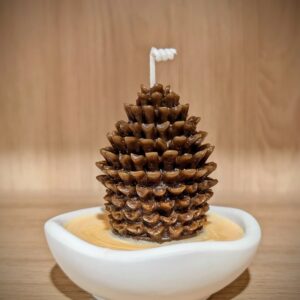 Pine Ember Candle - White Pot