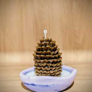 Pine Ember Candle - Purple Pot