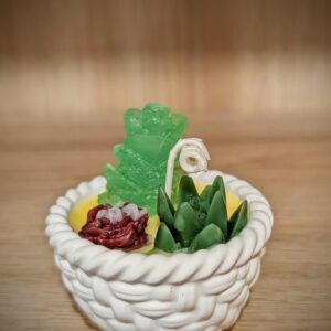 Mini Succulent Garden