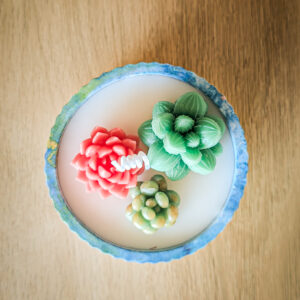 Succulent Trio Garden