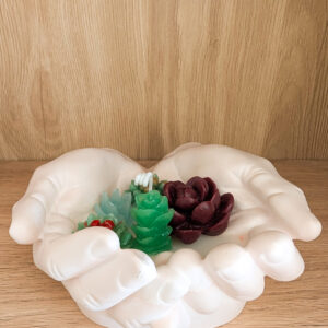 Hands of Nature Succulent