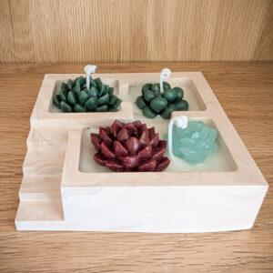 Succulent Terrace Garden